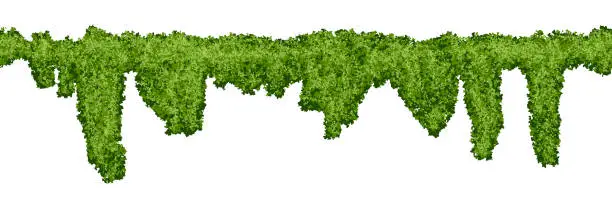 Vector illustration of Horizontal endless swamp moss pattern on white background