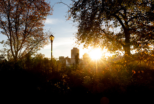 Sunrise jogger on an autumn day in Central Park