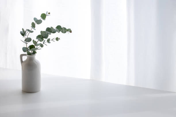istock Plants decorated by the window where light shines 1440115207