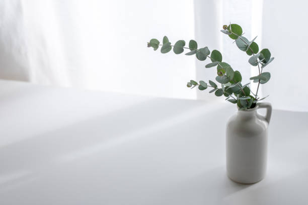istock Plants decorated by the window where light shines 1440115211