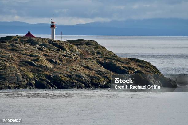 Killer Whales Stock Photo - Download Image Now - Animal, Animal Wildlife, Animals In The Wild