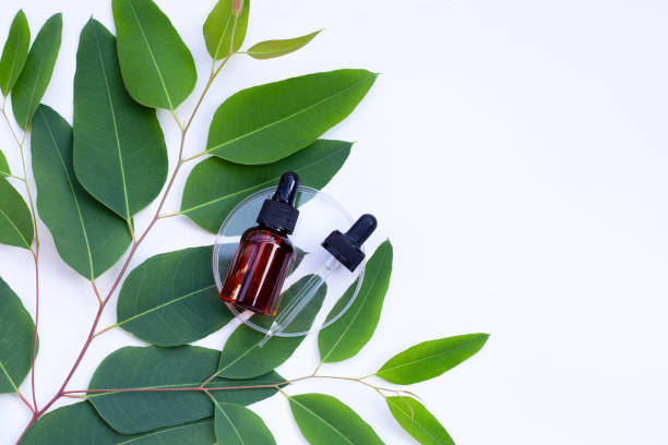 istock Eucalyptus essential oil bottle with leaves on white background. 1440127573