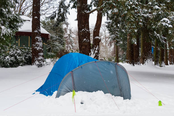 istock Homeless Camping In The Park 1440130192
