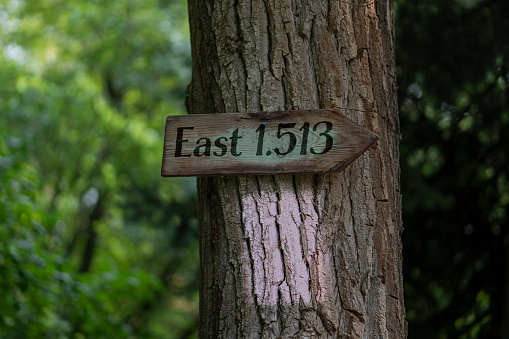 In this January 13, 2021 daylight photo, a sign reminds trampers/hikers on the Rough Creek Track near Maruia Springs, New Zealand to take precautions against COVID-19. New Zealand has been praised for its strong handling of the pandemic.