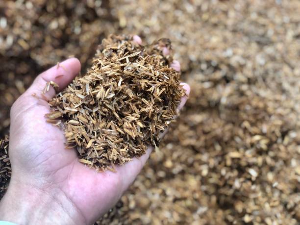 istock Rice hulls. Planting media and fertilizer 1440137868