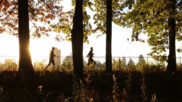 Central Park Morning Joggers