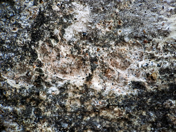 istock cracked texture rough wall Cement white gray wall background, suitable for displaying online products, banners, brochures 1440141456