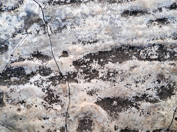 istock cracked texture rough wall Cement white gray wall background, suitable for displaying online products, banners, brochures 1440141481