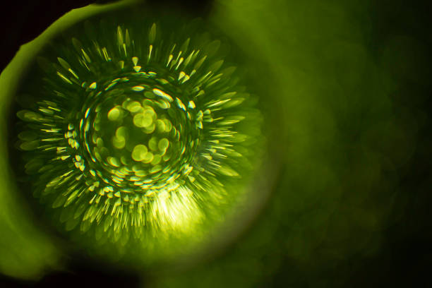 Green glitter reflections thru a lens ball, on black background, soft focus photography