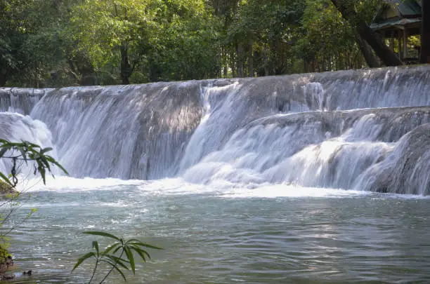 Photo of Beautiful landscape. View of Muak Lek Waterfall in muak lek arboretum at Saraburi province. Popular tourism in Thailand