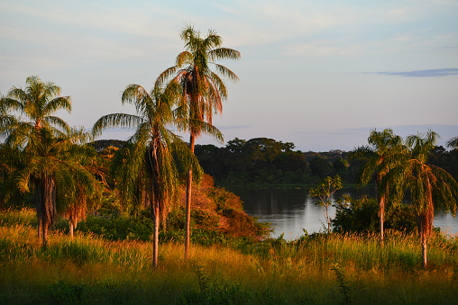 Sunset on the banks of the Guaporé-Itenez river from the ruins of the Forte Príncipe da Beira fort, near Costa Marques, Rondonia state, Brazil, on the border with the Beni Department, Bolivia