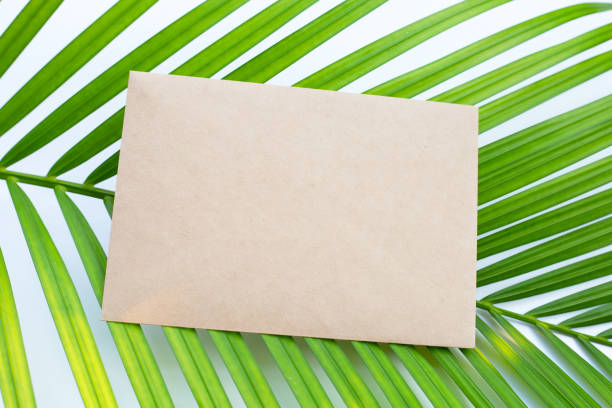 istock Brown paper on green leaves 1440154832
