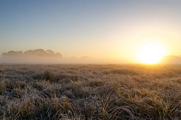 istock Sunpower near Lilienthal 1440166115