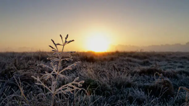 First Light of Day meets Icy Grass