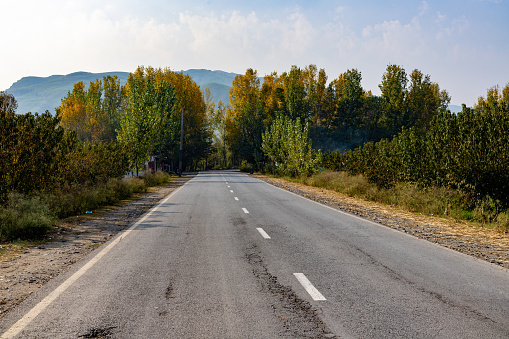 Empty asphalt road through the poplar forest in the autumn. Traveling in swat valley in the autumn season