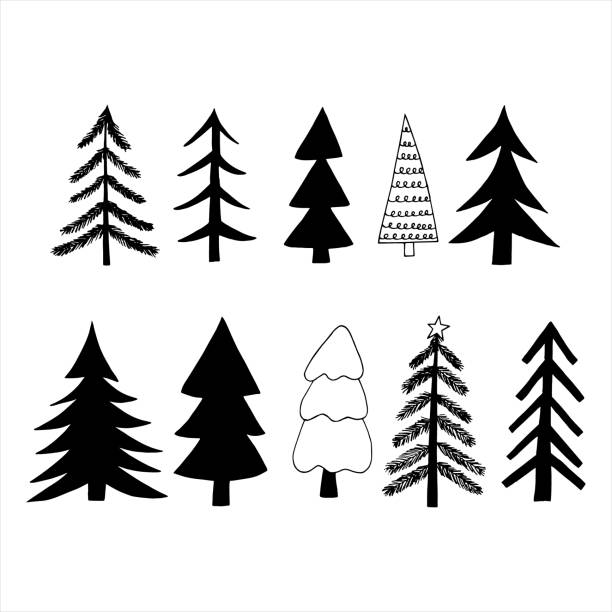 Cây thông Noel doodle: Hình ảnh cây thông Noel doodle sẽ khiến bạn tưởng nhớ đến những kỷ niệm ấm áp và hạnh phúc trong mùa giáng sinh. Bức tranh này rất dễ thương và đem lại cho bạn sự yêu thích với cây thông đầy tình cảm này.