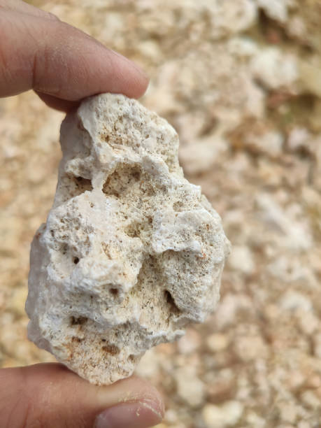 istock A man's holding a coral stone 1440166674