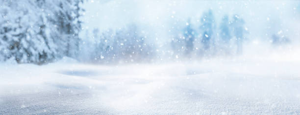 istock Snowy winter landscape as blurred background 1440166986