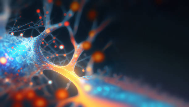 déclenchement des synapses neurales, neurones échangeant des impulsions électriques, maladies cognitives dégénératives comme la démence, la maladie d’alzheimer ou de parkinson, réseau neuronal - dégénératif photos et images de collection