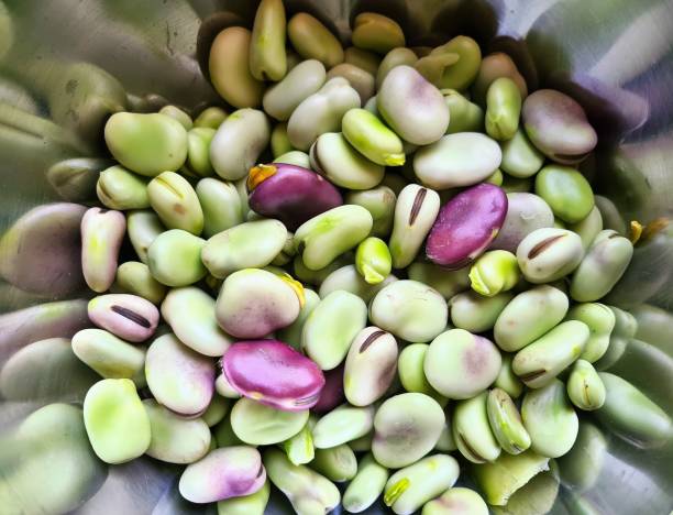istock close-up of shelled broad beans 1440168883