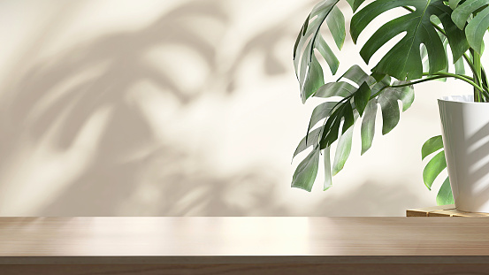 Wooden tabletop or countertop in modern and minimal beige cream wall room with dappled sunlight from window and tropical monstera plant at home for household and personal product display