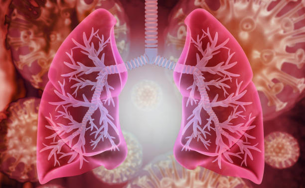 istock Human lungs on scientific background. 3d illustration 1440170353