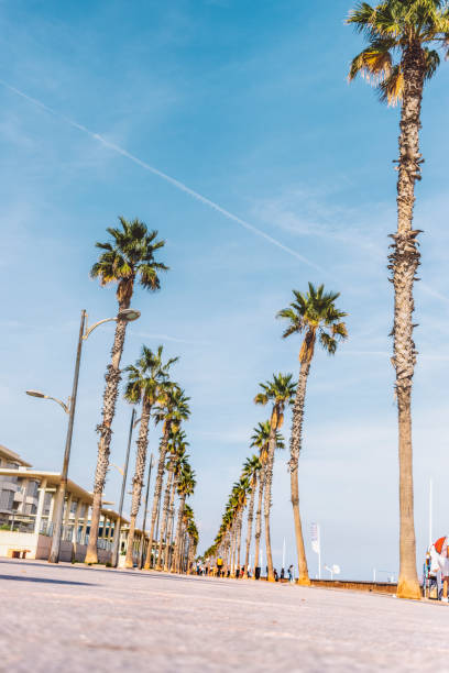 istock General shot of a boardwalk on the beach 1440170662