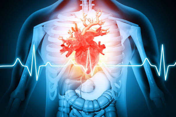 istock Heart attack and heart disease. 3d illustration 1440171927