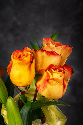 Beautiful flower bouquet of three yellow orange roses against dark background. Copy space.