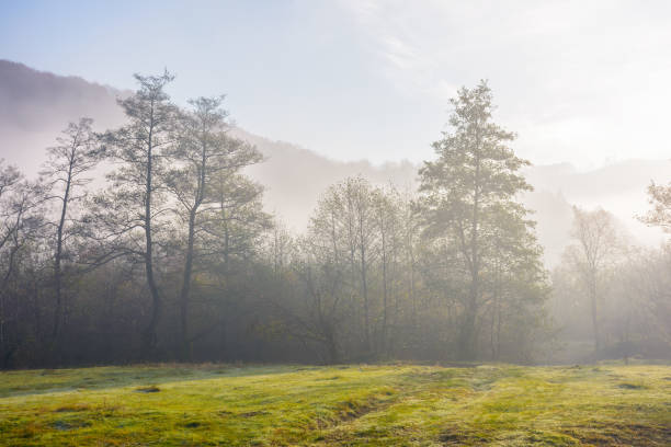 istock foggy carpathian landscape in morning light 1440175026