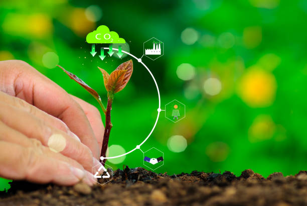 istock CO2 reduction concept. Hand planting trees with environmental icons. Global warming. Sustainable development. solar power and green business, renewable energy, sustainability in the future, ESG 1440178607