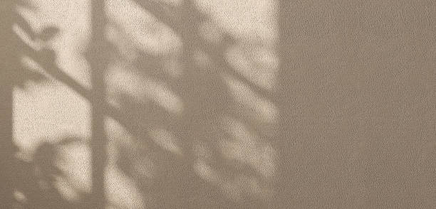 Beautiful soft dappled light from window and tree leaf shadow on minimal brown cement concrete wall background stock photo