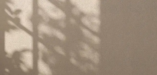 Photo of Beautiful soft dappled light from window and tree leaf shadow on minimal brown cement concrete wall background