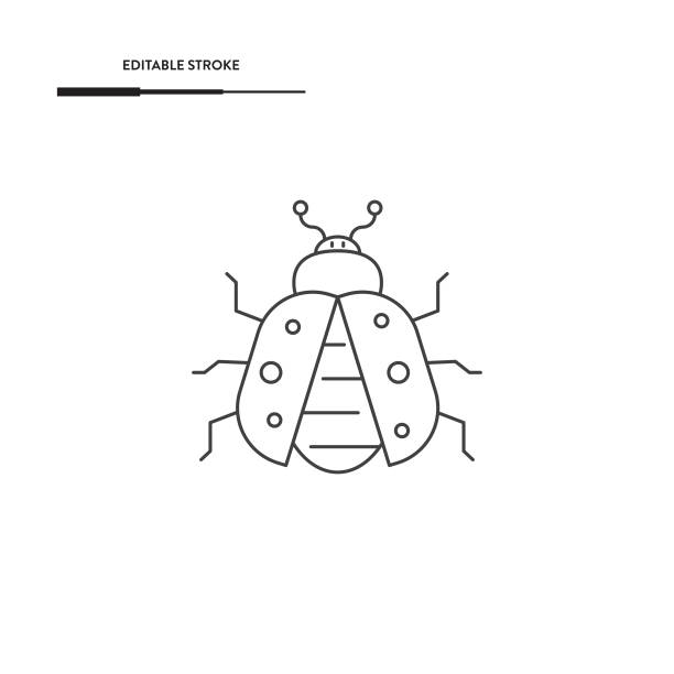 ilustrações, clipart, desenhos animados e ícones de ladybugs icon vector design. - flowerbed aerial