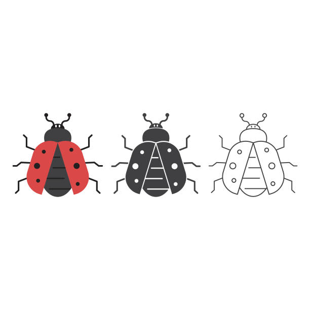ilustrações, clipart, desenhos animados e ícones de ladybugs icon set vector design. - flowerbed aerial