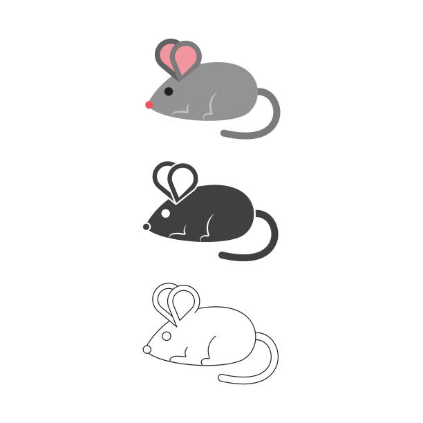 185 Field Mouse Animal Illustrations & Clip Art - iStock