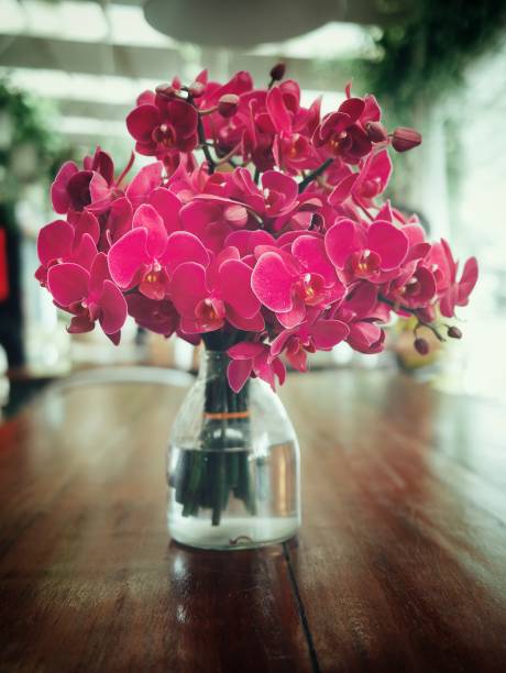 istock Flowers in a vase 1440181542