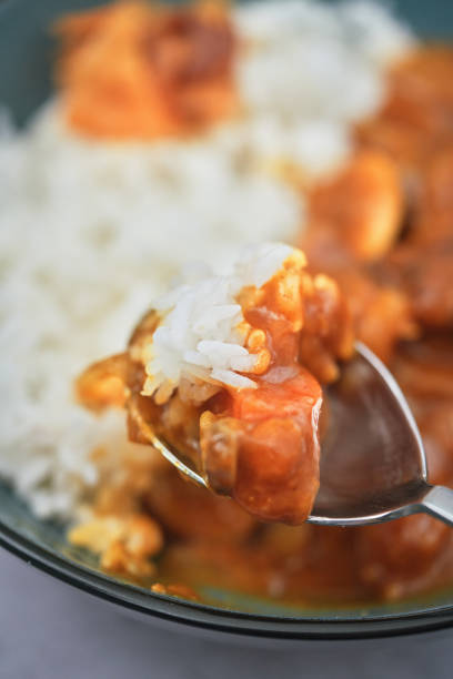 Enjoying Japanese Food: Japanese Beef Curry