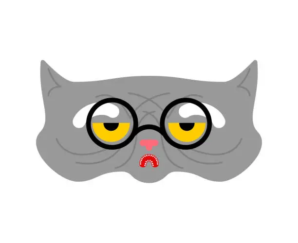 Vector illustration of Old cat isolated. Grandpa cat. Vector illustration.