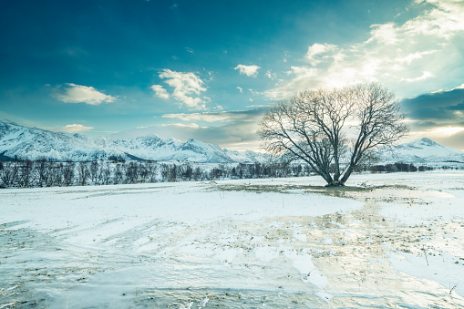 View at Gimsøya island in the Lofoten in Northern Norway during a beautiful winter day. The Lofoten archipelago in the county of Nordland, Norway has a spectacular scenery with dramatic mountains rising up from the open sea, Fjords and beaches.