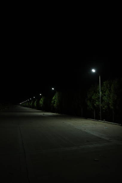 istock Walking street at night with trees on one side 1440193458