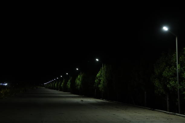 Stock photo showing low angle view of the twigs and branches of bare, deciduous trees silhouetted against a winter's night sky and are backlit by an illuminated street lamp and the light pollution it has caused.