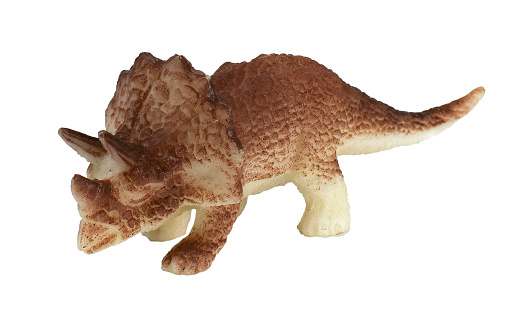 Triceratops dinosaur plastic toy on blank background.