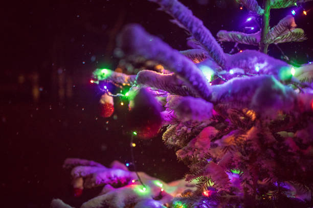 Lights on a Christmas tree in snowy night stock photo