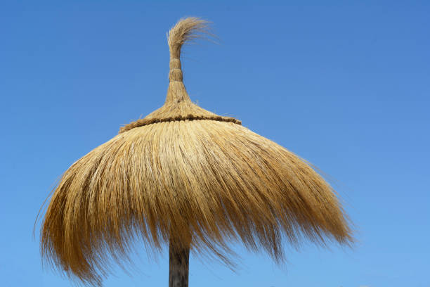 istock One straw beach umbrella with the blue sky. Straw parasol 1440198183