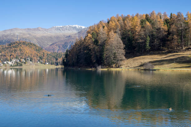 lago tranquilo, colinas, montanhas no outono - engadine switzerland europe clear sky - fotografias e filmes do acervo