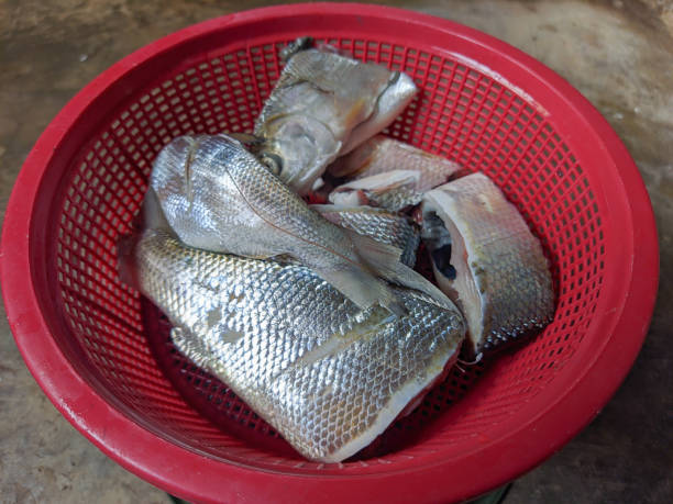 Fish Fresh milkfish has been cleaned and cut ready latar belakang stock pictures, royalty-free photos & images