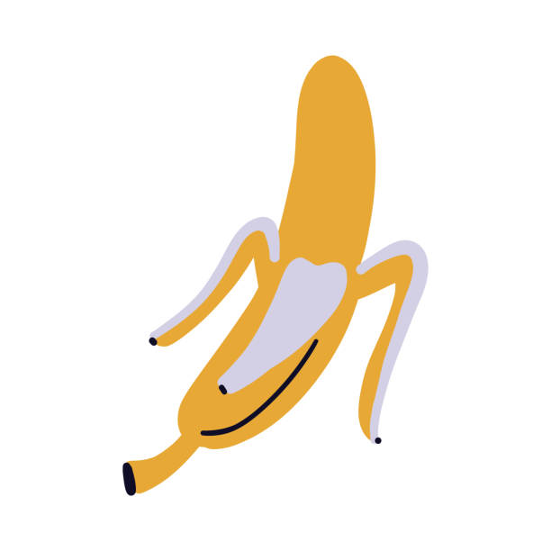 istock Cartoon design food element. Hand drawn banana 1440201850