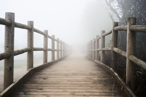 Winding country road into the mist - Trail, wooden footbridge through dark evergreen forest in fog. Atmospheric autumn landscape. Concepts of ghost, loneliness, silence, gothic, mystery, sadness...