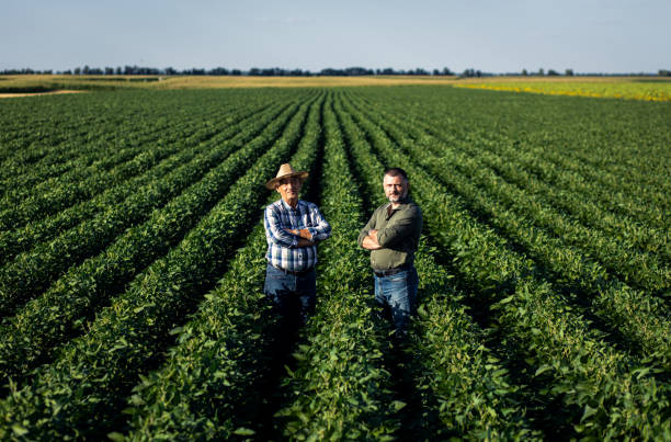 istock Two farmers in a field examining soy crop. 1440202138
